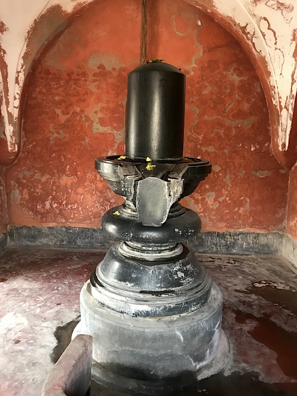 UNADJUSTEDNONRAW_thumb_19d2