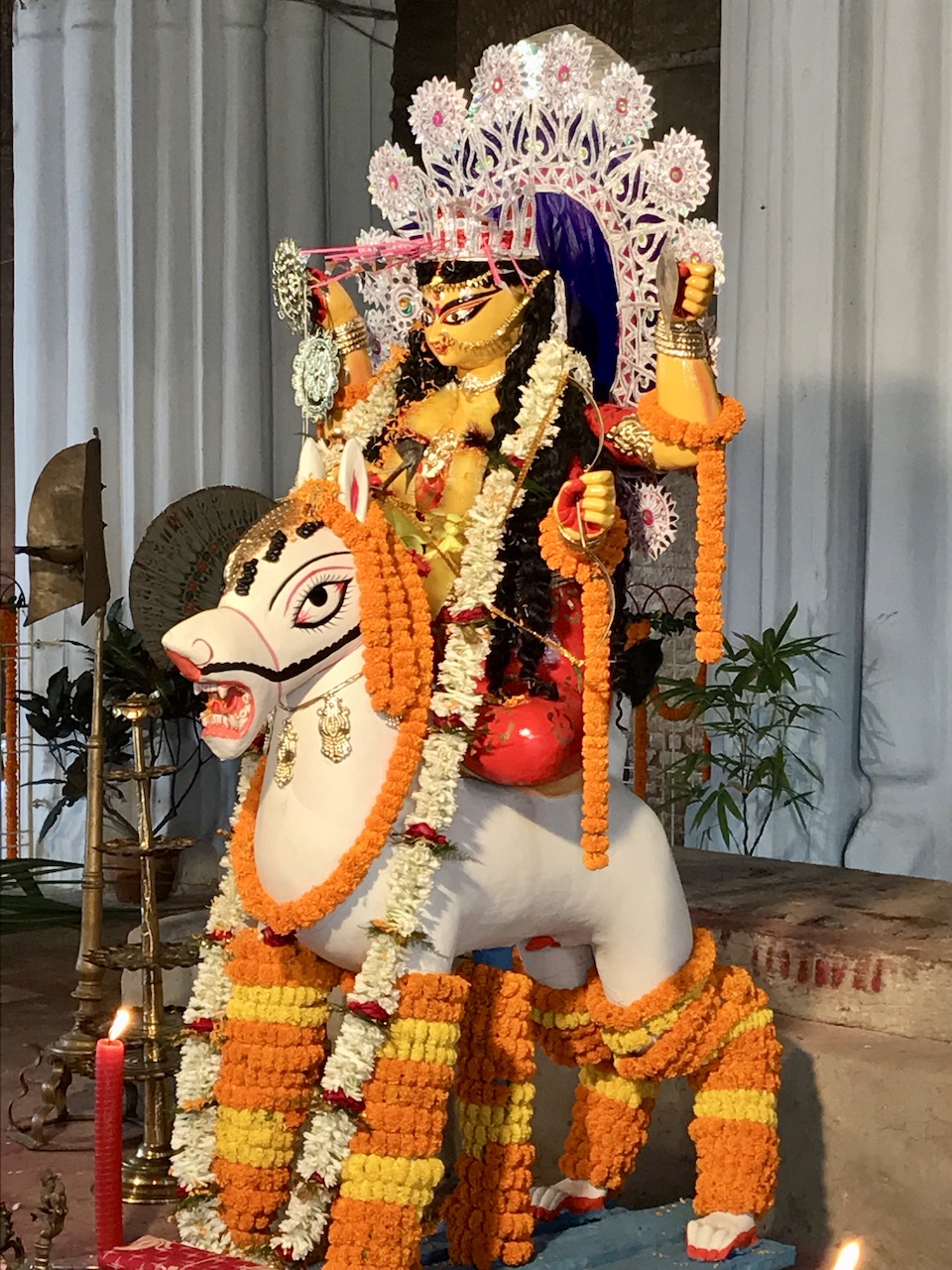 CEC9AC12-6917-497E-968B-77060D26D381_1_201_a