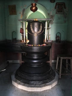 09F36F01-01C7-4E05-9DED-B94715E74A5C_1_105_c